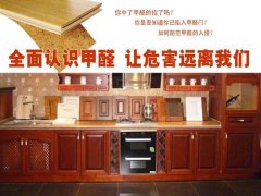 甲醛室內(nèi)頭號(hào)隱形殺手再引關(guān)注 櫥柜甲醛知多少？【佛山除甲醛公司】