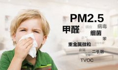 佛山辦公室除甲醛土方法 佛山新房除甲醛什么價格？