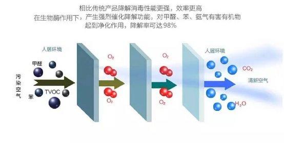 光觸媒、生物酶、空氣凈化器，哪家除甲醛公司效果好？