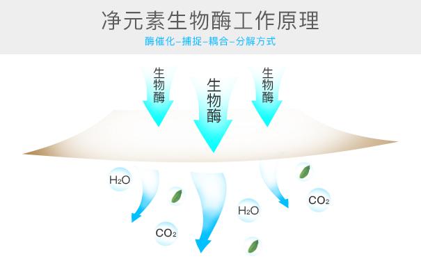 光觸媒、生物酶、空氣凈化器，哪家除甲醛公司效果好？