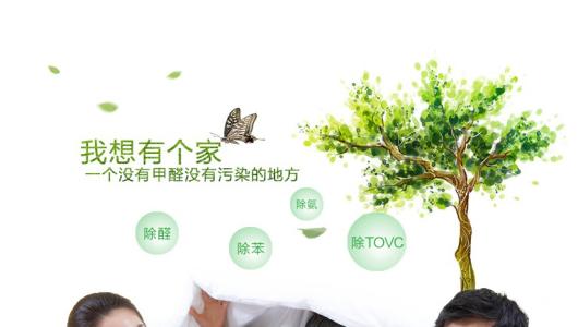 效果好、專業(yè)的光觸媒除甲醛產(chǎn)品有那些？